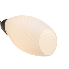 Náhradní sklo pro sérii 60217