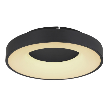 Stropní svítidlo, kov černý, plast opál, paměťová funkce, noční světlo, stmívatelné, dálkové ovládání, barvy lze fixovat včetně 2xAAA, Ø40cm, V:10cm, včetně 1xLED 30W 230V, 2900lm zdroj, 1800lm výstup, CCT 2700- 6000K