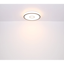 Stropní svítidlo,kov bílý,plast opál/černý,kompatibilní s Google Assistant a Alexa,časovač,paměť,noční světlo,třpytivý efekt,stmívatelné,IP44,dál.ovládání,měnič barvy,Ø50cm, V:7cm,LED 40W+RGB LED 5W 230V, 4600lm zdroj, 2900lm výstup, 2700-6500K