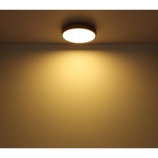 Stropní svítidlo, kov grafit, MDF vzhled dřeva, plast bílý, Ø:30cm, V:9cm, včetně LED 12W 230V, 1600lm zdroj, 950lm výstup, 3000K