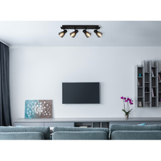 Stropní svítidlo, kov černý, kouřové sklo, DxŠxV: 50x7x16cm, bez žárovek 4xE14, max. 40W 230V