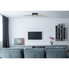 Stropní svítidlo, kov černý, grafit, plast opál, DxŠxV:880x80x155mm, včetně LED 20W 230V, zdroj 2300lm, výstup 1130lm, 3000K