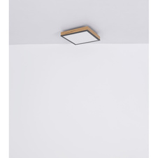 Stropní svítidlo Globo 416080WD1