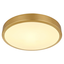 Stropní svítidlo kov mosaz matná barva, plast opál, Ø:250mm, V:30mm, LED 15W 230V, 1330lm zdroj, 990lm výstup, 3000K