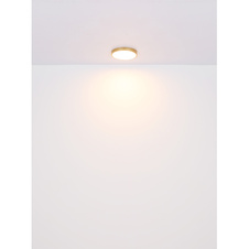 Stropní svítidlo kov mosaz matná barva, plast opál, Ø:450mm, V:30mm, LED 30W 230V, 3360lm zdroj, 2700lm výstup, 3000K