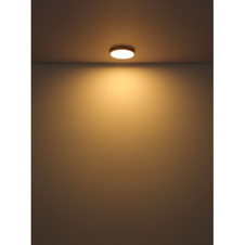 Stropní svítidlo kov mosaz matná barva, plast opál, Ø:450mm, V:30mm, LED 30W 230V, 3360lm zdroj, 2700lm výstup, 3000K