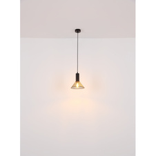 Závěsné svítidlo kov černý mat, kovová síťka černá mat, kabel PVC černý, nastavitelná výška, DxŠxV:1100x250x1200mm, Ø stínítka: 1x10cm, 12cm, 21cm, 25cm, bez žárovek 4x E27 60W 230V