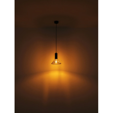 Závěsné svítidlo kov černý matný, kovová síťka černá matná, kabel PVC černý, možnost nastavení výšky, Ø:250mm, V:1200mm, bez žárovky 1x E27 60W 230V