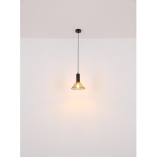 Závěsné svítidlo kov černý matný, kovová síťka černá matná, kabel PVC černý, možnost nastavení výšky, Ø:250mm, V:1200mm, bez žárovky 1x E27 60W 230V