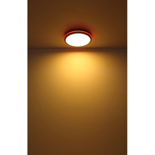 Stropní svítidlo kov černý matný, bílá, akryl bílý, stmívatelné, několik úrovní přes nástěnný spínač, RGB duhový efekt, paměťová funkce, dálkové ovládání, Ø:450mm V:70mm, LED 40W+5W RGB 230V, 425-4250lm zdroj, 200-2000lm výstup, CCT2700-6500K