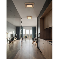 Stropní svítidlo kov černý matný, MDF imitace dřeva, plast bílý, DxŠxV:300x300x45mm, LED 12W 230V, 1400lm zdroj, 600lm výstup, 3000K