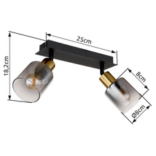 Nástěnné svítidlo, kov černý matný, kov zlatý matný, sklo kouřové, průhledné, DxŠxV:250x80x182mm, bez žárovek 2xE14,max. 40W 230V