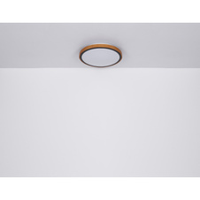 Stropní svítidlo, kov bílý, akryl bílý, stará mosaz, imitace kůže černá, Ø:300mm, V:80mm, vč. LED 12W 230V, zdroj 1200lm, výstup 578lm, změna barvy světla 3000/4500/6000K
