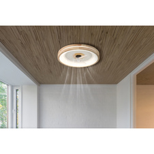 Stropní ventilátor kov bílý, dřevo, plast bílý/transparent, stmívatelný, několik úrovní přes nástěnný vypínač, paměť, časovač, dálkové ovládání, 15m², ø:500mm V: 25mm, LED 30W 230V, 300-2250lm, CCT 2700-6500K