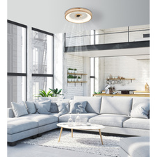 Stropní ventilátor kov bílý, dřevo, plast bílý/transparent, stmívatelný, několik úrovní přes nástěnný vypínač, paměť, časovač, dálkové ovládání, 15m², ø:500mm V: 25mm, LED 30W 230V, 300-2250lm, CCT 2700-6500K