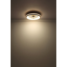 Stropní ventilátor kov bílý, dřevo, plast bílý/transparent, stmívatelný, několik úrovní přes nástěnný vypínač, paměť, časovač, dálkové ovládání, 15m², ø:500mm V: 25mm, LED 30W 230V, 300-2250lm, CCT 2700-6500K