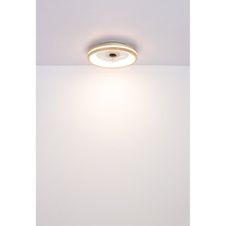 Stropní ventilátor kov bílý, dřevo, plast bílý/transparent, stmívatelný, několik úrovní přes nástěnný vypínač, paměť, časovač, dálkové ovládání, 15m², ø:500mm V: 25mm, LED 30W 230V, 300-2250lm, CCT 2700-6500K