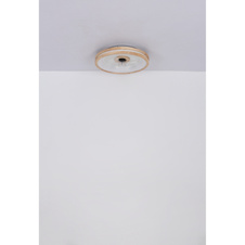 Stropní ventilátor kov bílý, dřevo, plast bílý/transparent, stmívatelný, několik úrovní přes nástěnný vypínač, paměť, časovač, dálkové ovládání, 15m², ø:500mm V: 25mm, LED 30W 230V, 300-2250lm, CCT 2700-6500K
