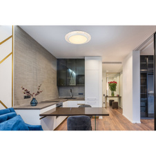 Stropní svítidlo, kov bílý, plastové křišťály čiré, plast bílý se třpytivým efektem, ø:400mm, V:60mm, včetně LED 22W 230V, zdroj 2380lm, výstup 1460lm, 3000K