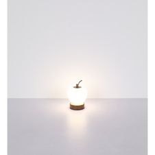 Nabíjecí stolní lampa, hnědý matný kov, plast bílý, černý PVC kabel, dotykové zapnutí/vypnutí, stmívatelné, plynulé dotykové stmívání, aku CR18650 1200mAh 3,7V, doba nabíjení cca 3 hod., ø:120mm, V:165mm, LED 2W 230V 90lm 2700/6500/4000K
