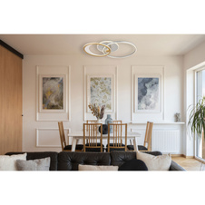 Stropní svítidlo, hliník stříbrný a zlatý, akryl čirý, plast bílý, stmívatelné, několik úrovní pomocí nástěnného vypínače, paměť, polohovatelné, dál.ovládání, DxŠxV:810x510x110mm, prstenec ø:51cm a 40cm, LED 40W 230V 300-1684lm 2700-6500K