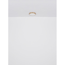 Stropní svítidlo kov mosaz matná barva, plast bílý, DxŠxV:350x350x30mm, LED 22W 230V, 2350lm zdroj, 1750lm výstup, 3000K