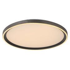 Stropní svítidlo, broušený hliník šedý, akryl bílý, silikon bílý, stmívatelné, několik úrovní pomocí nástěnného vypínače, paměť, dál.ovládání, 2xAAA, ø:400mm, H:55mm, včetně LED 38W 230V, výstup 250-1955lm, změna barvy barvy světla 2700-6000K