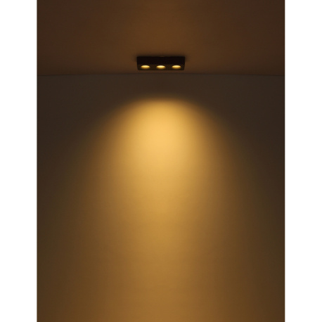 LED reflektor, hliník šedý tmavý, plast šedý, plast čirý, DxŠxV:332x117x55mm, včetně LED 14W 230V, zdroj 1600lm, výstup 780lm, 3000K.