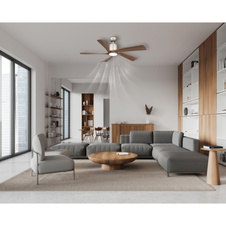 Stropní ventilátor, kov tmavě šedý/světle šedý, plast bílý/imitace dřeva, stmívatelný, více úrovní nástěnným vypínačem, paměť, časovač, dálkové ovládání, 50m², ø: 1320mm V: 480mm, LED 20W 230V, zdroj 1700lm, výkon 1600lm, CCT2700-6500K