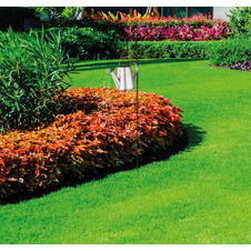 Solární svítidlo kov stříbrno-šedý, kov černý, plast čirý, vypínač, součástí balení baterie AA 300mAh 1,2V, IP44, konev s hrotem na zapíchnutí do země, LED blikání, DxŠxV:300x170x1120mm, vč.80x LED 0,06W 3V, 4500K