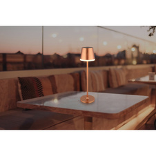 Solární svítidlo, kov/plast metalická šampaňská, saténový plast, posuvný vypínač, baterie CR18650 1200mAh 3,7V, IP44, lze použít s 1 nebo 2 sloupy, 2 možné montážní výšky 41cm/26cm, ø:11cm V:41cm, včetně 10xLED 0,06W 3V 3000K