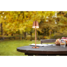 Solární svítidlo, kov/plast metalická šampaňská, saténový plast, posuvný vypínač, baterie CR18650 1200mAh 3,7V, IP44, lze použít s 1 nebo 2 sloupy, 2 možné montážní výšky 41cm/26cm, ø:11cm V:41cm, včetně 10xLED 0,06W 3V 3000K