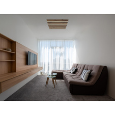 Stropní svítidlo, kov černý mat, MDF vzhled tmavého dřeva, plast bílý, DxŠxV: 450x450x50mm, včetně LED 30W 230V, zdroj 3100lm, výkon 1500lm, 3000K