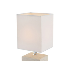 Stínítko pro 21675