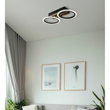 Stropní svítidlo, kov černý mat, MDF imitace tmavého dřeva, bílý plast, několik úrovní nástěnným spínačem, nastavení barev, paměťová funkce, DxŠxV: 445x210x85mm, včetně LED 15W 230V, zdroj 1850lm, výkon 880lm, CCT 3000/4200/6000K