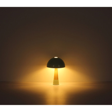 Stolní lampa, kov, barva šampaňského matná, kov imitace dřeva, kabel PVC černý, kolébkový vypínač na kabelu, ø: 250 mm, V: 365 mm, délka kabelu 1500 mm, bez žárovky 1x E27 ILLU,max. 40W 230V