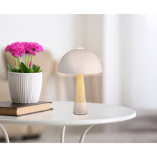 Stolní lampa, kov, barva šampaňského matná, kov imitace dřeva, kabel PVC černý, kolébkový vypínač na kabelu, ø: 250 mm, V: 365 mm, délka kabelu 1500 mm, bez žárovky 1x E27 ILLU,max. 40W 230V