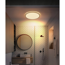 Stropní svítidlo, plast se vzhledem dřeva, satinovaný, bílý, několik úrovní přes nástěnný spínač, pam. funkce, IP44, 3 úrovně přes nástěnný spínač (100-50-10%), Ø:294mm, V:25mm, včetně LED 18W 230V, 1600lm výstup, 3000K