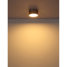 Stropní svítidlo, matný plast barvě šampaň, plast bílý, ø: 150mm, V: 75mm, včetně LED 12W 230V, zdroj 1200lm, výkon 900lm, 3000K