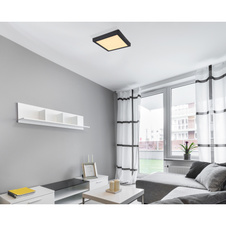 Stropní svítidlo, kov černý, plast opál, DxŠxV: 300x300x30 včetně 1xLED 22W 230V, 2200lm zdroj, 1900lm výstup, 3000K