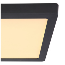 Stropní svítidlo, kov černý, plast opál, DxŠxV: 300x300x30 včetně 1xLED 22W 230V, 2200lm zdroj, 1900lm výstup, 3000K