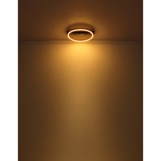 Stropní svítidlo kov černý matný, kov zlaté barvy, plast opál, přepínání funkcí nástěnným vypínačem, paměťová funkce, DxŠxV: 430x400x69mm, včetně LED 24W 230V, 2242lm zdroj, 895lm výstup, 3000K