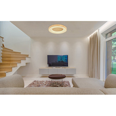 Stropní svítidlo, kov bílý, imitace dřeva, plast opál, paměťová funkce, noční světlo, stmívatelné, dálkové ovládání, fixace barvy, včetně 2xAAA, Ø600, V: 100, včetně 1xLED 42W 230V, 4000lm zdroj, 2500lm výstup, změna barvy světla CCT 2700 -6000K