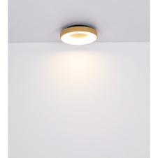 Stropní svítidlo, kov bílý, imitace dřeva, plast opál, paměťová funkce, noční světlo, stmívatelné, dálkové ovládání, fixace barvy, včetně 2xAAA, Ø600, V: 100, včetně 1xLED 42W 230V, 4000lm zdroj, 2500lm výstup, změna barvy světla CCT 2700 -6000K