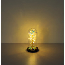Dekorativní lampa, černý/zlatý lesklý plast, průhledné sklo, bez baterií 3x AAA 1,5 V, 9 ks displej, 6x červená růže, 3x průhledná růže, Ø:11cm V:21cm, smíšený displej, 20x LED 0,036W 3V, 2900K