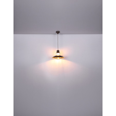 Závěsné svítidlo, kov hnědý, sklo průhledné satinované, Ø350, V: 1500, bez žárovky 1xE27, max. 60W 230V
